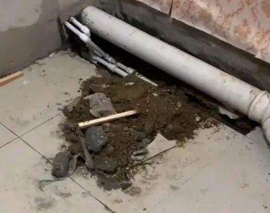 宝塔卫生间漏水检测哪家好